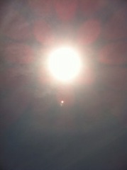 2012年4月29日  太陽に何となく 輪ができているのが お分かりですか？