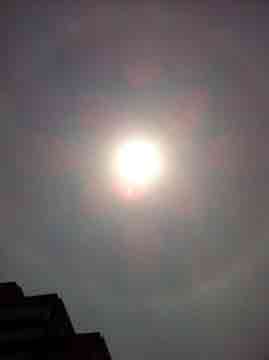 5月13日 太陽の周りに綺麗に 輪が出来ています。