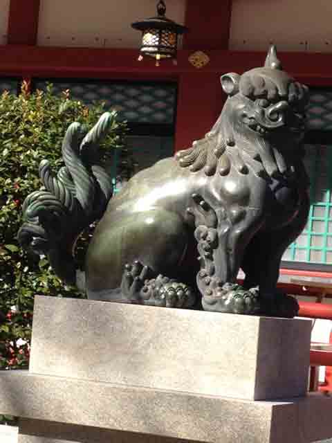 10月20日 本殿の狛犬、変わってるね！