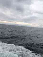 11月11日 琵琶湖です。曇ってる…