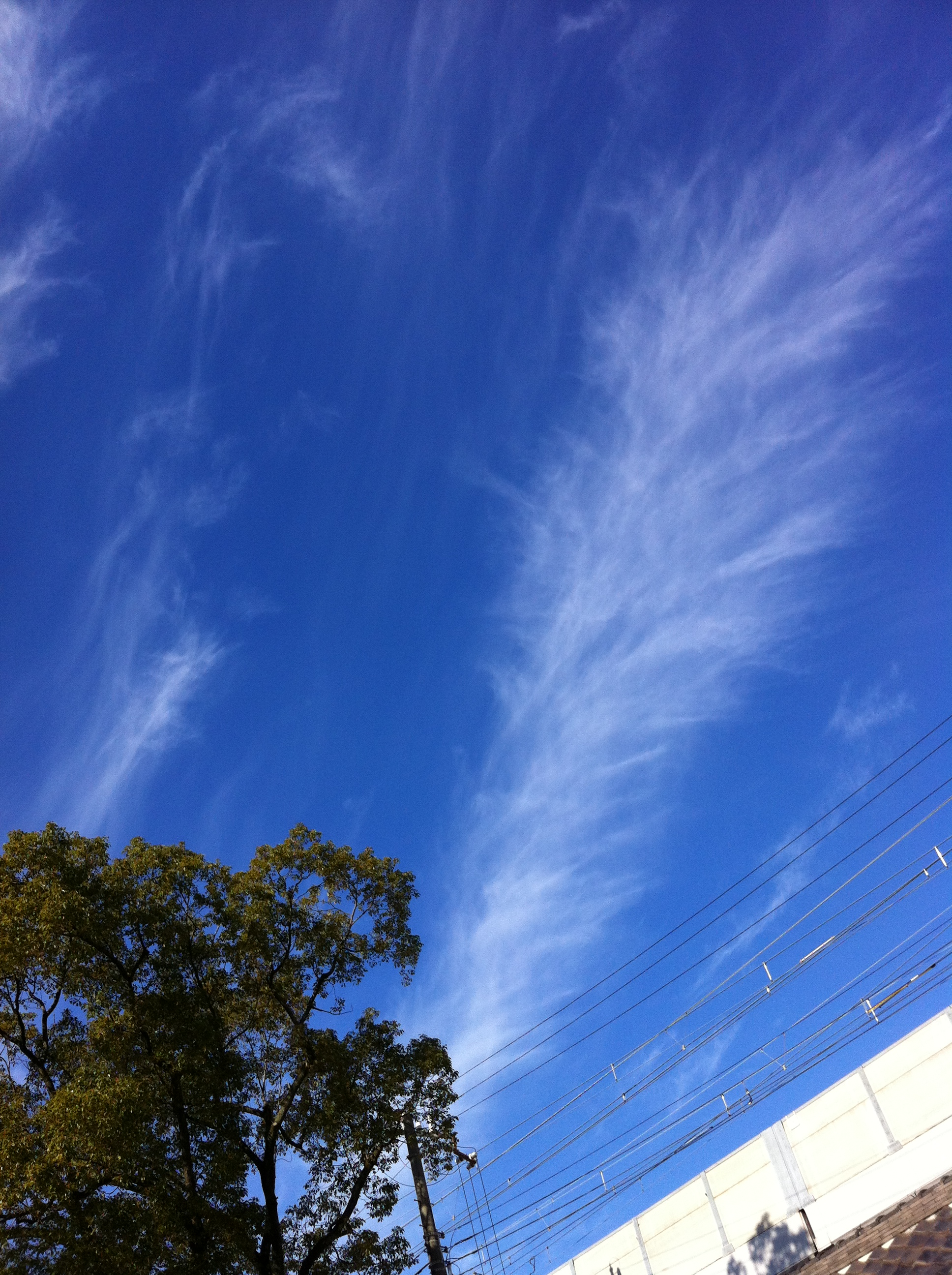 2012年1月  ２０１２年１月６日 参拝のあと、空を見ると、 大きな鳳凰の雲が出ていました。 大きすぎて、一枚には収まりませんでした